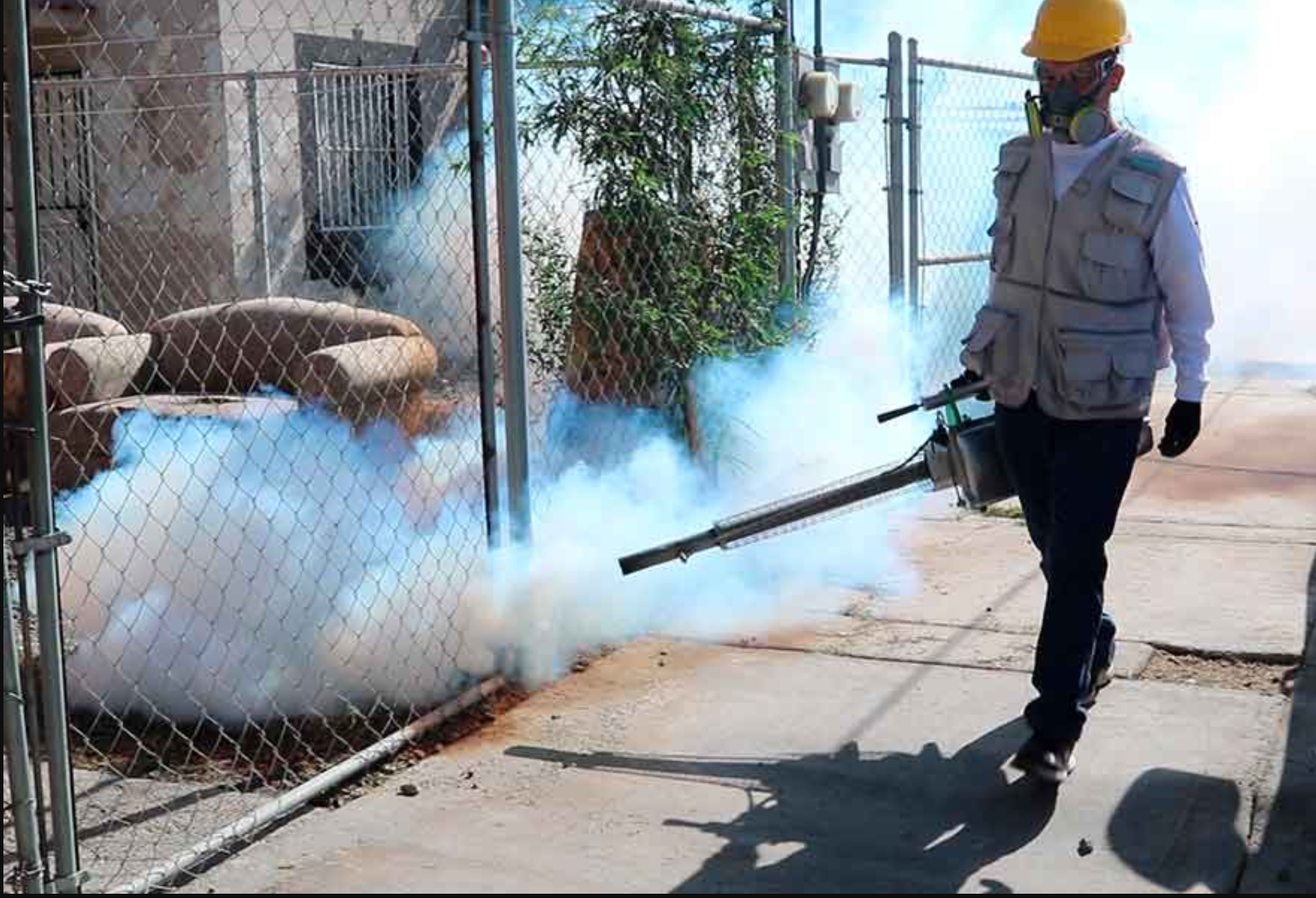 Activan para residentes y visitantes de Mexicali alerta por moscos que transmiten el dengue