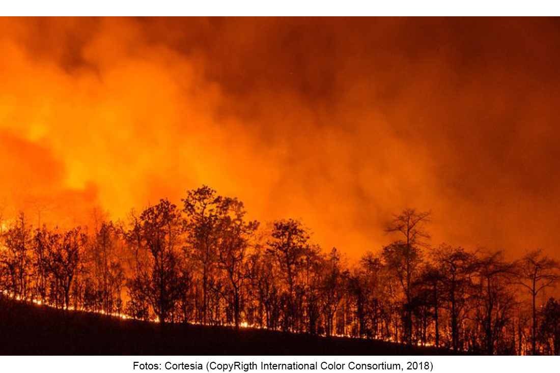 Aumenta a 66 el numero muertos por incendios en California